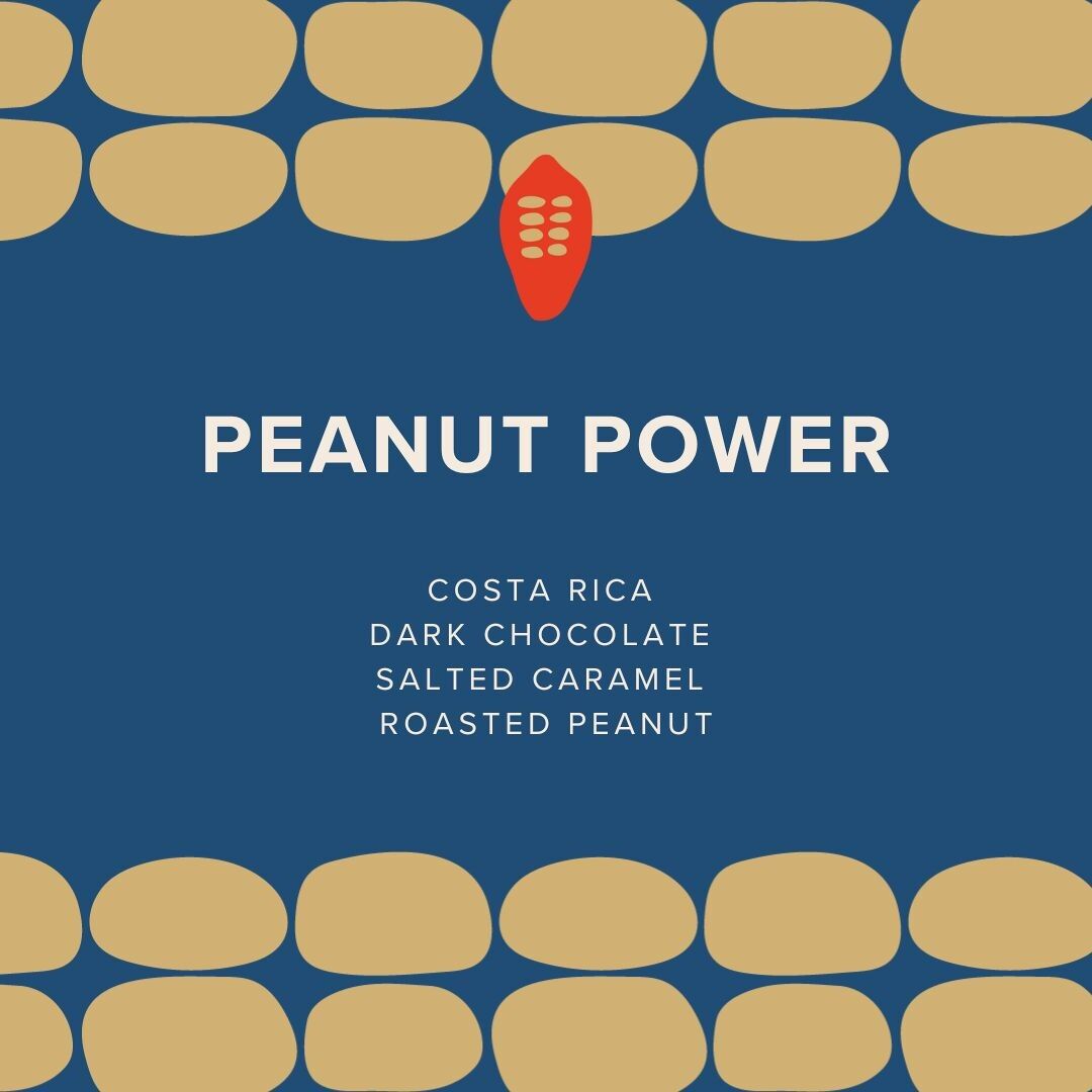 Salted Caramel & Roasted Peanuts (63% Dark, Vegan)