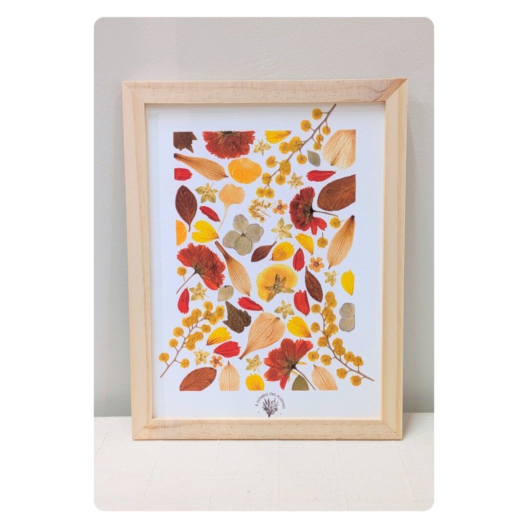 MATHILDE Erbario di fiori pressati