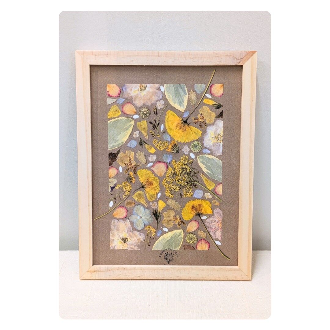MANON Erbario di fiori pressati