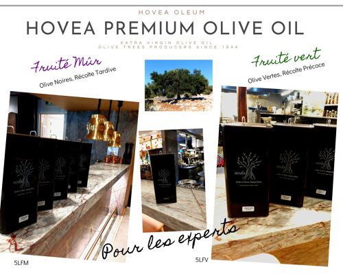 Huile d'Olive Vierge Extra HOVEA 5 litres Fruité Mur douce