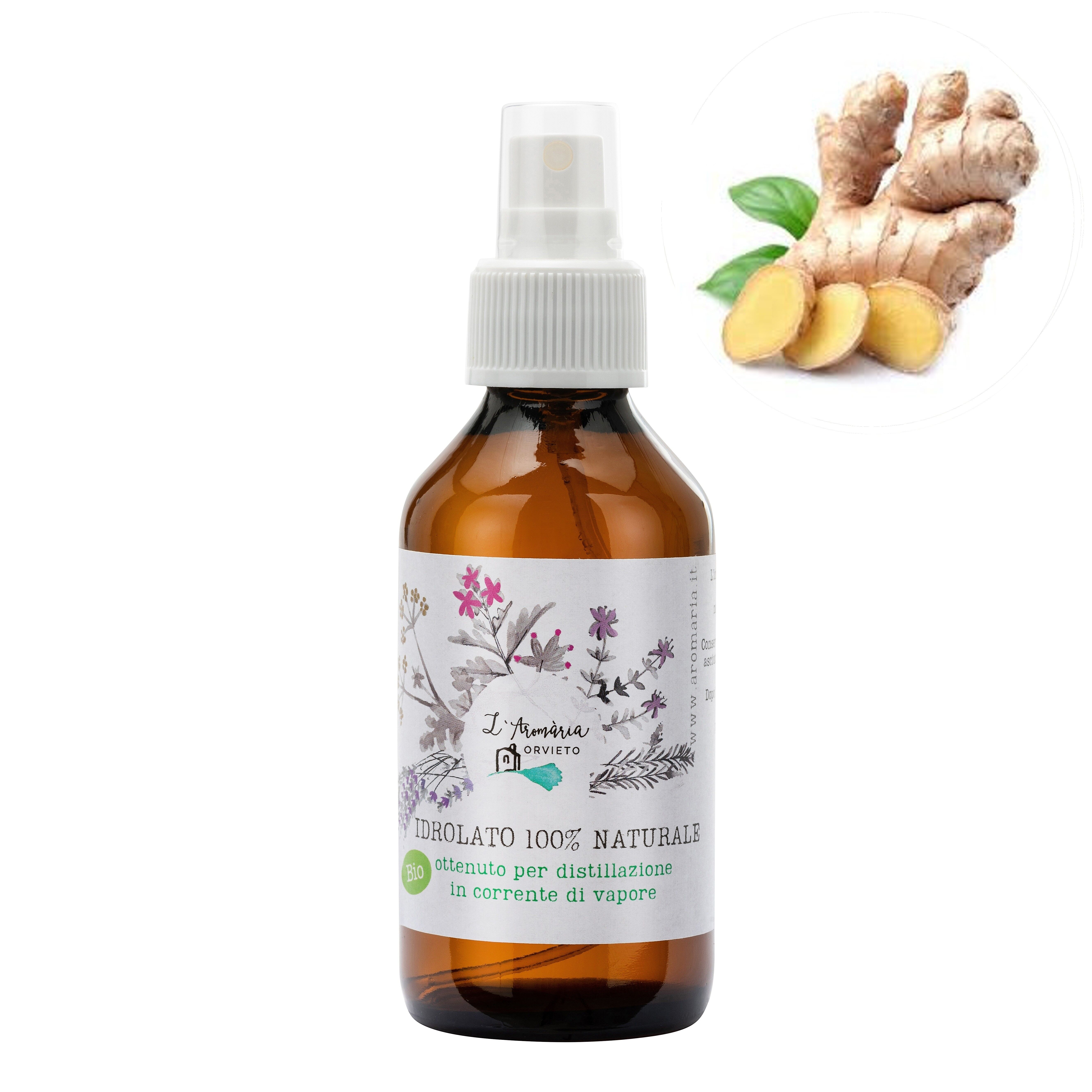 Fresh Organic Ginger Hydrolate