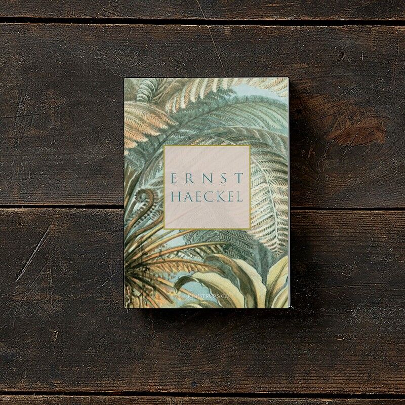 Cartella porta biglietti Ernst Haeckel con 8 biglietti e buste