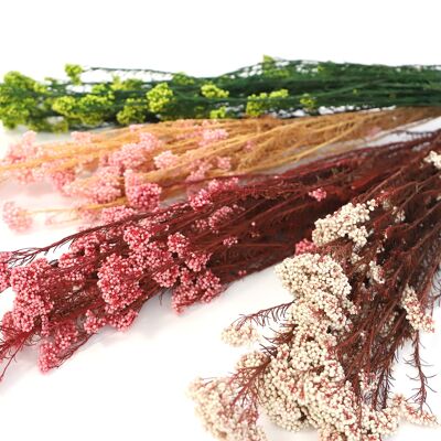 Flores de arroz secas en siete colores (racimo)
