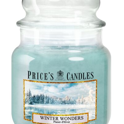 Merveilles d'hiver 411g