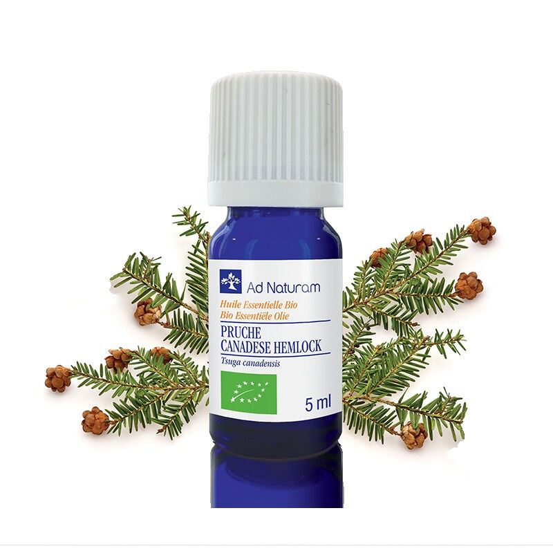 Olio essenziale di cicuta biologica