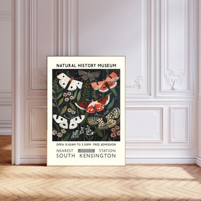 Stampa di farfalle del Museo di storia naturale