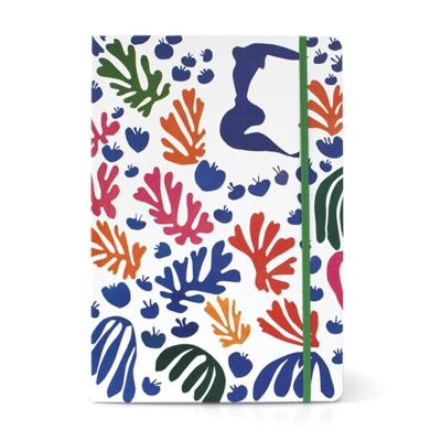 Libro de tapa blanda Matisse, La Perruche et la Sirène