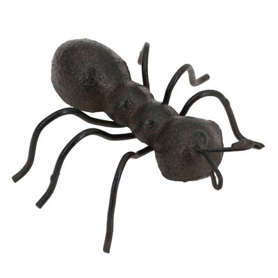 Ant