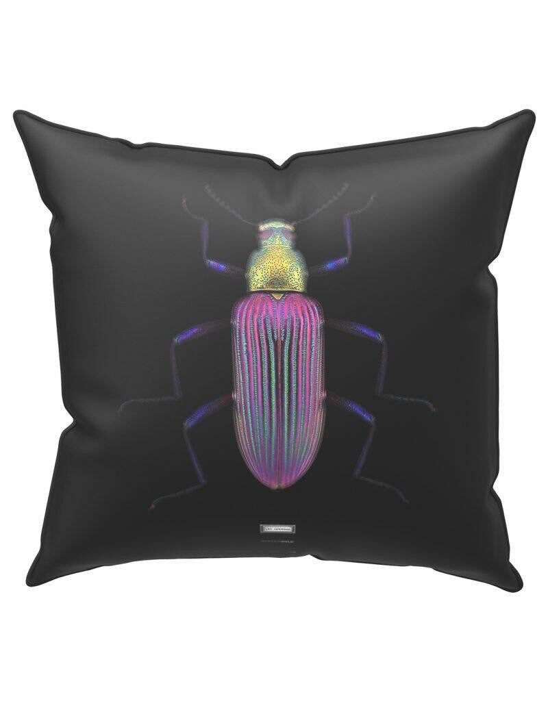 Lady Cupripenne Cushion