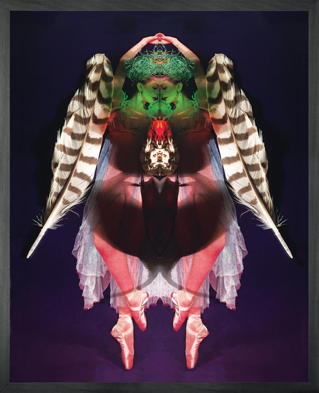 Arte murale Metamorfosi del ballerino