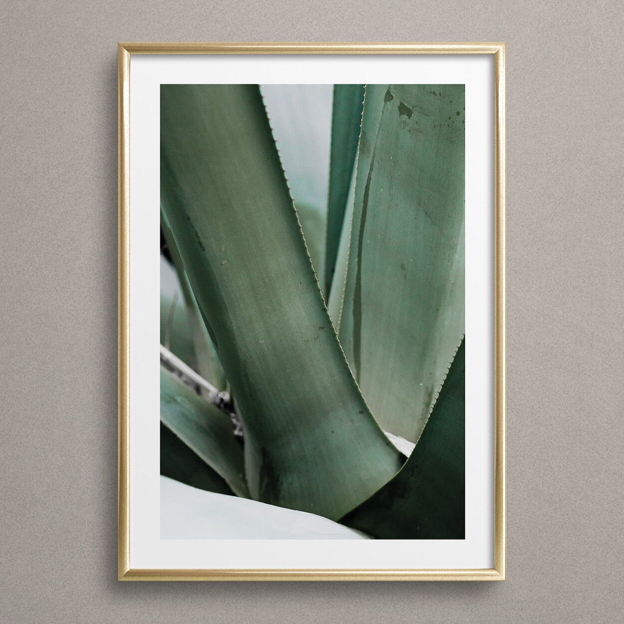 Manifesto 'Agave'