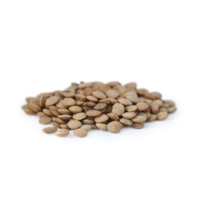Lentilles blondes laird - Bio - Vrac 10kg