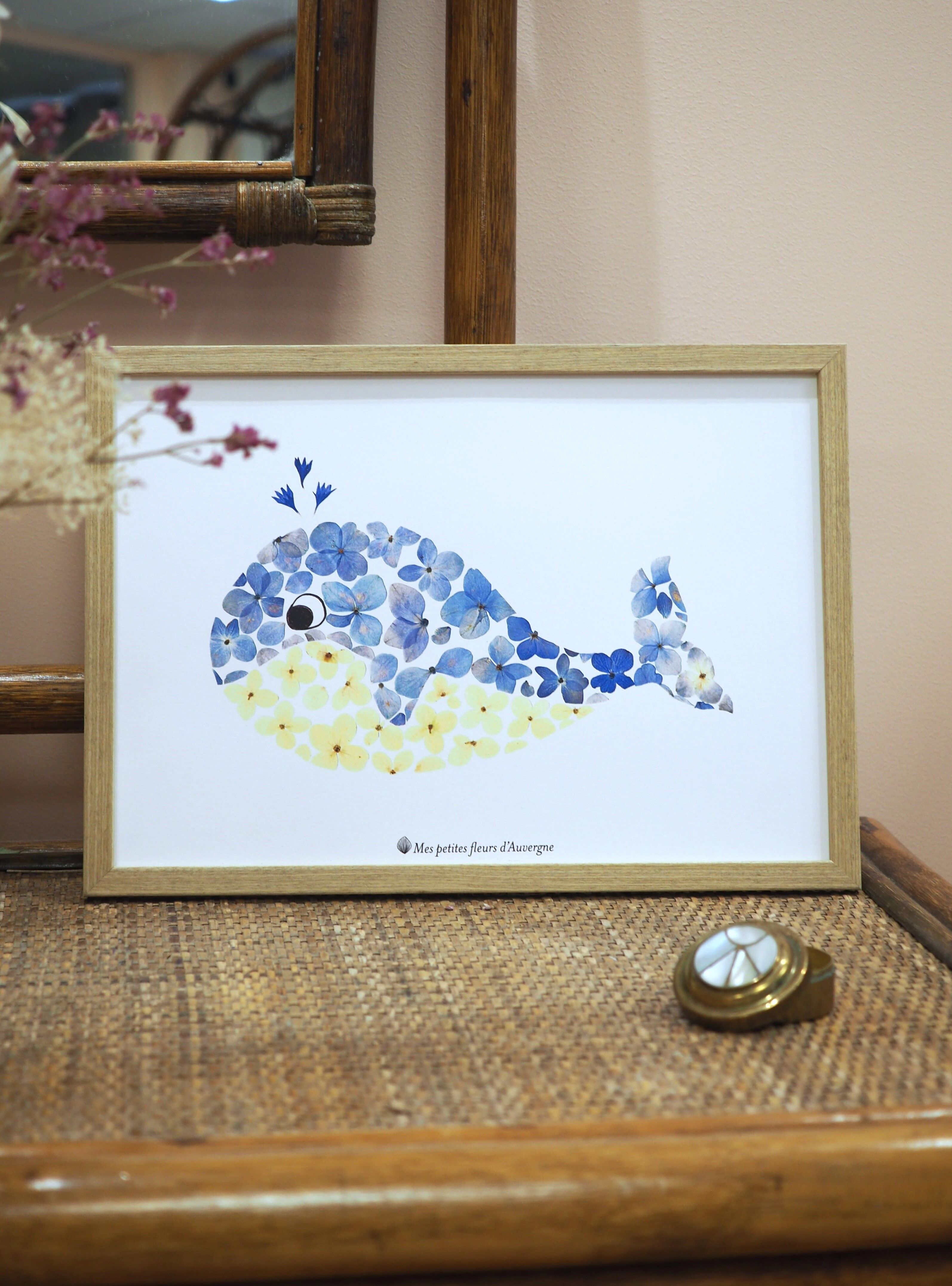 Manifesto dell'erbario delle balene A4 (21x30cm)