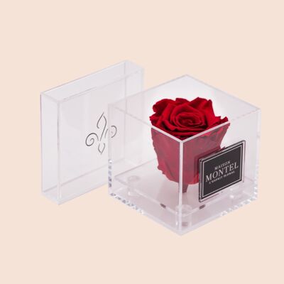 Mini-Box Rose Éternelle Blanc