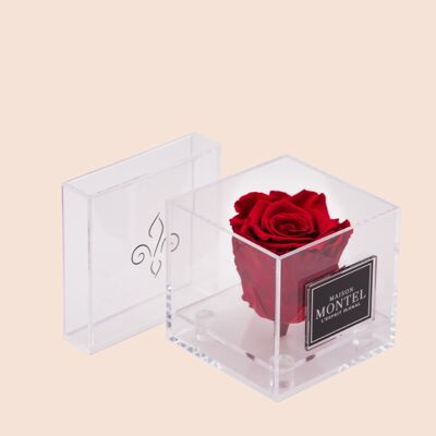Mini-Box Rose Éternelle Noir elegant