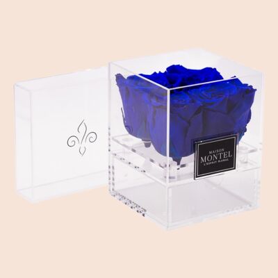 Box 4 Éternelle avec tiroir Violet delicat