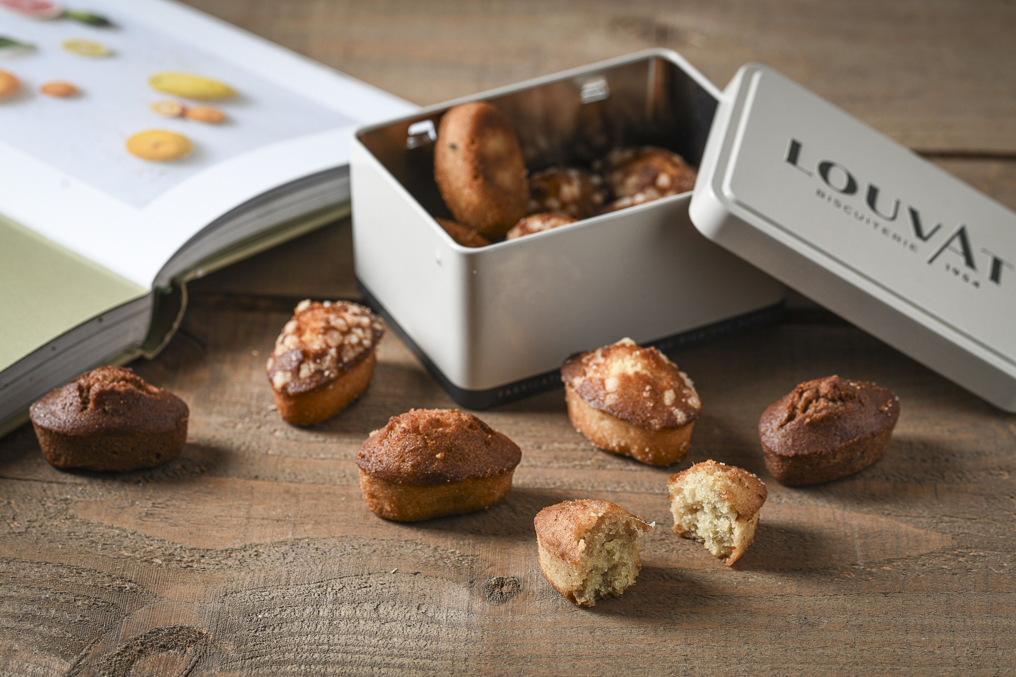 Reine Butterfinanziers