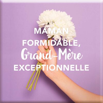 Magnet aimaité - Maman formidable, Grand-mère exceptionnelle