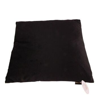 Coussin Velours 2