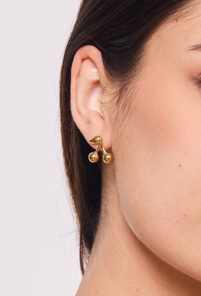 Ohrringe aus Edelstahl 124AQ370