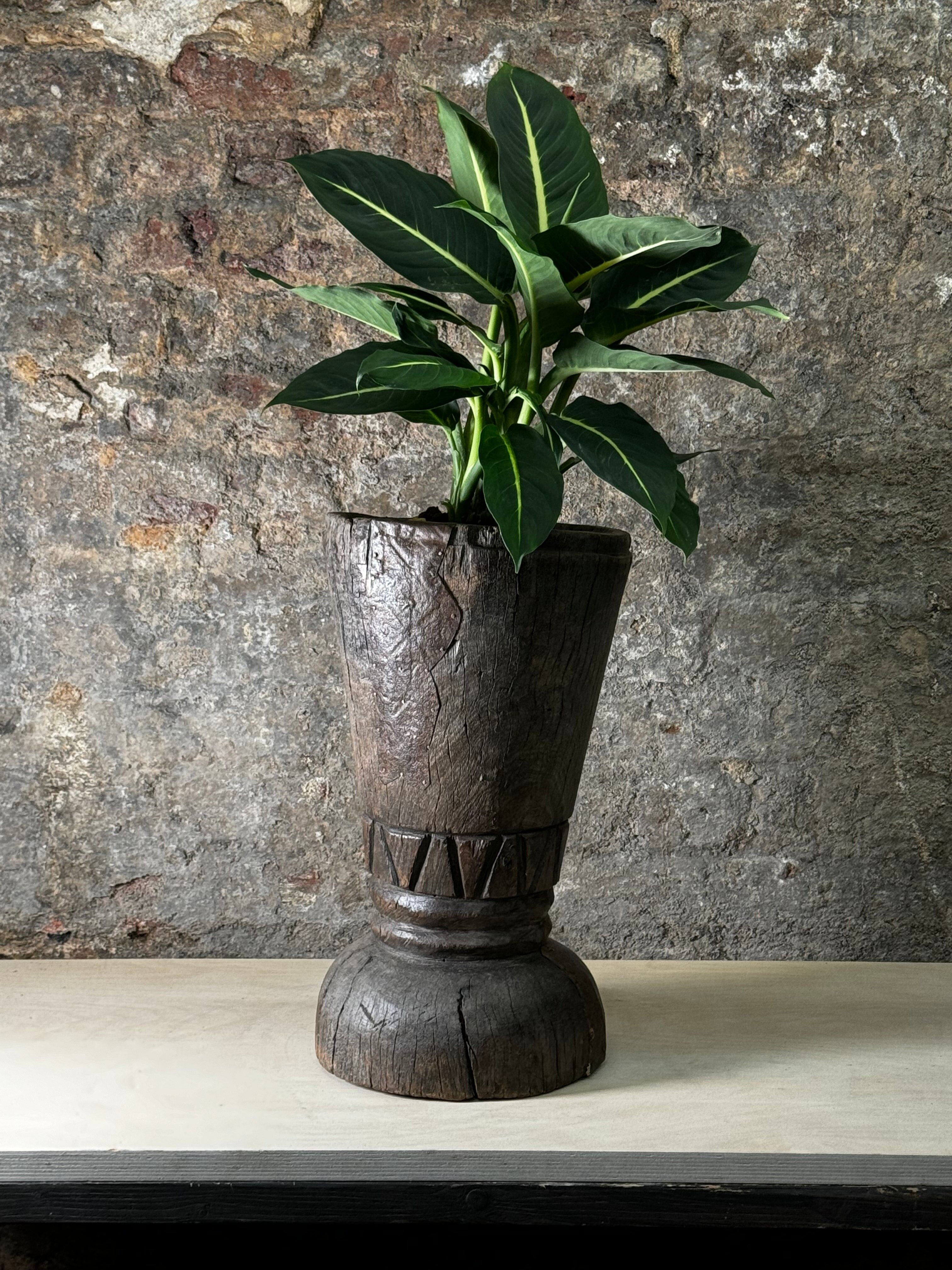 Vintage Grain Stomper bepflanzt mit Green Magic FR21