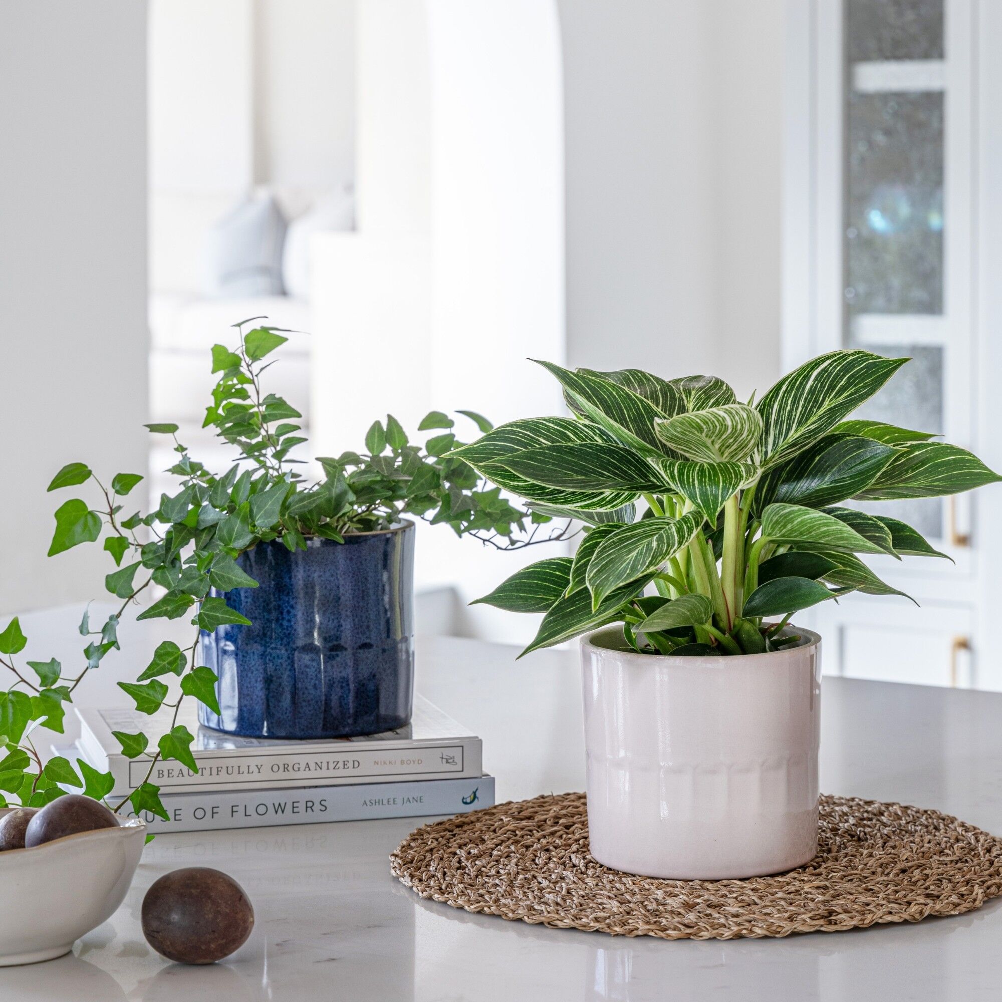 Vaso Azure Linear Gloss