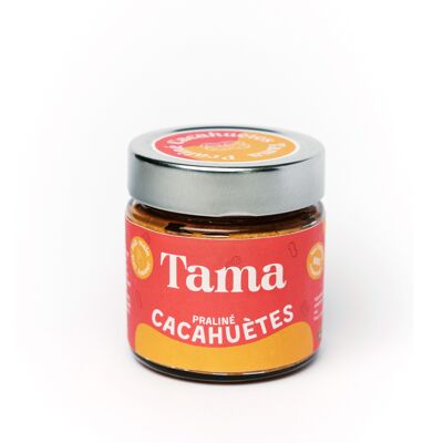 Praliné de cacahuete 80% (250g)