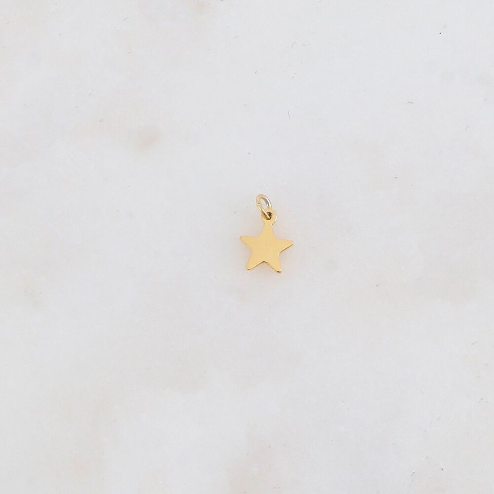 Ciondoli a forma di stella a 5 punte
