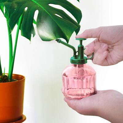 SEÑOR PLANTA DE CASA