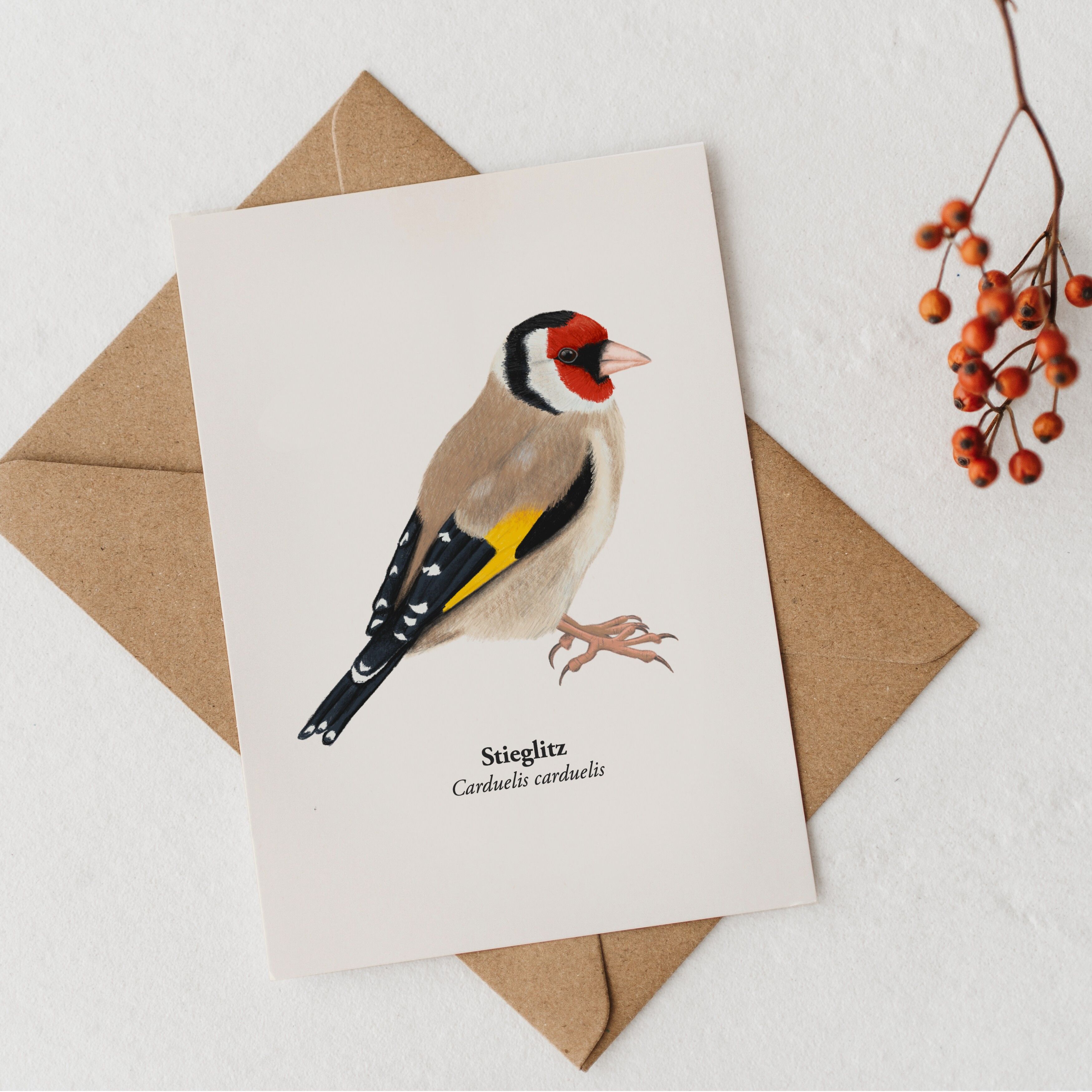 Postal de jilguero, postal de naturaleza con dibujo de pájaro, tarjeta de felicitación de naturaleza