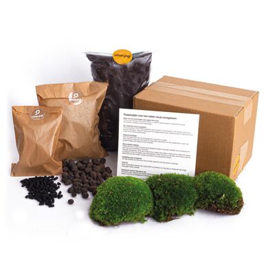 Kit de terrarium - Kit de recharge et de démarrage - Kit de terrarium à faire soi-même