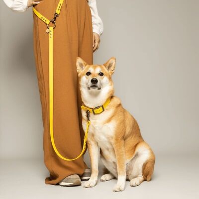Guinzaglio MULTIPOSIZIONE per cani - BioThane® - LIMONE