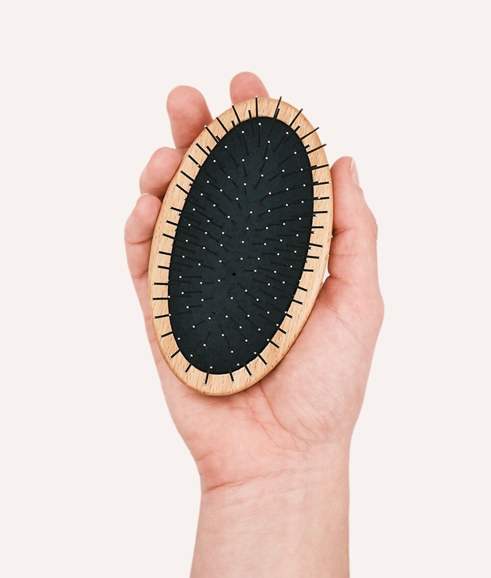 Spazzola per cani a pelo lungo, Teo