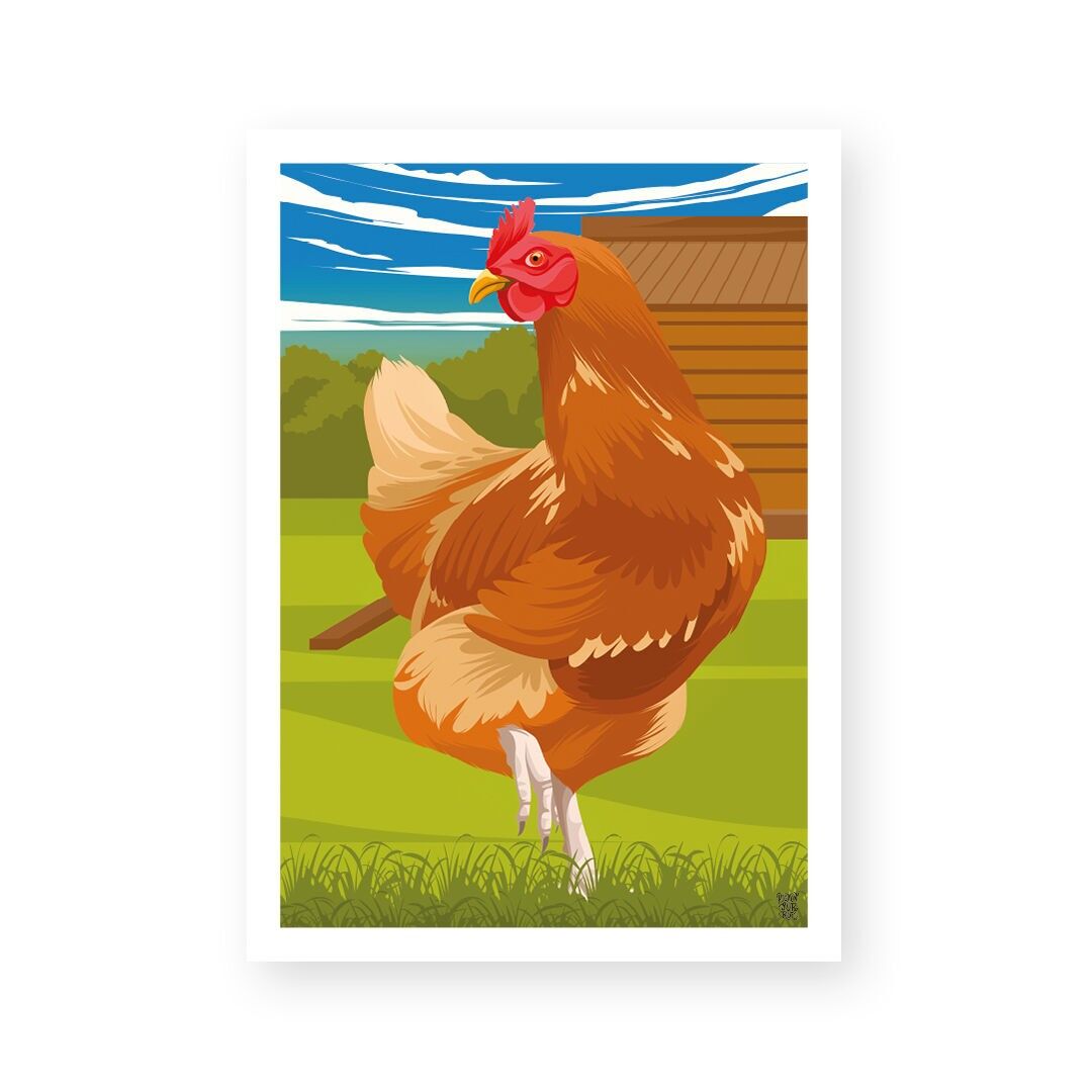 Manifesto/manifesto da parete vintage "The Hen"