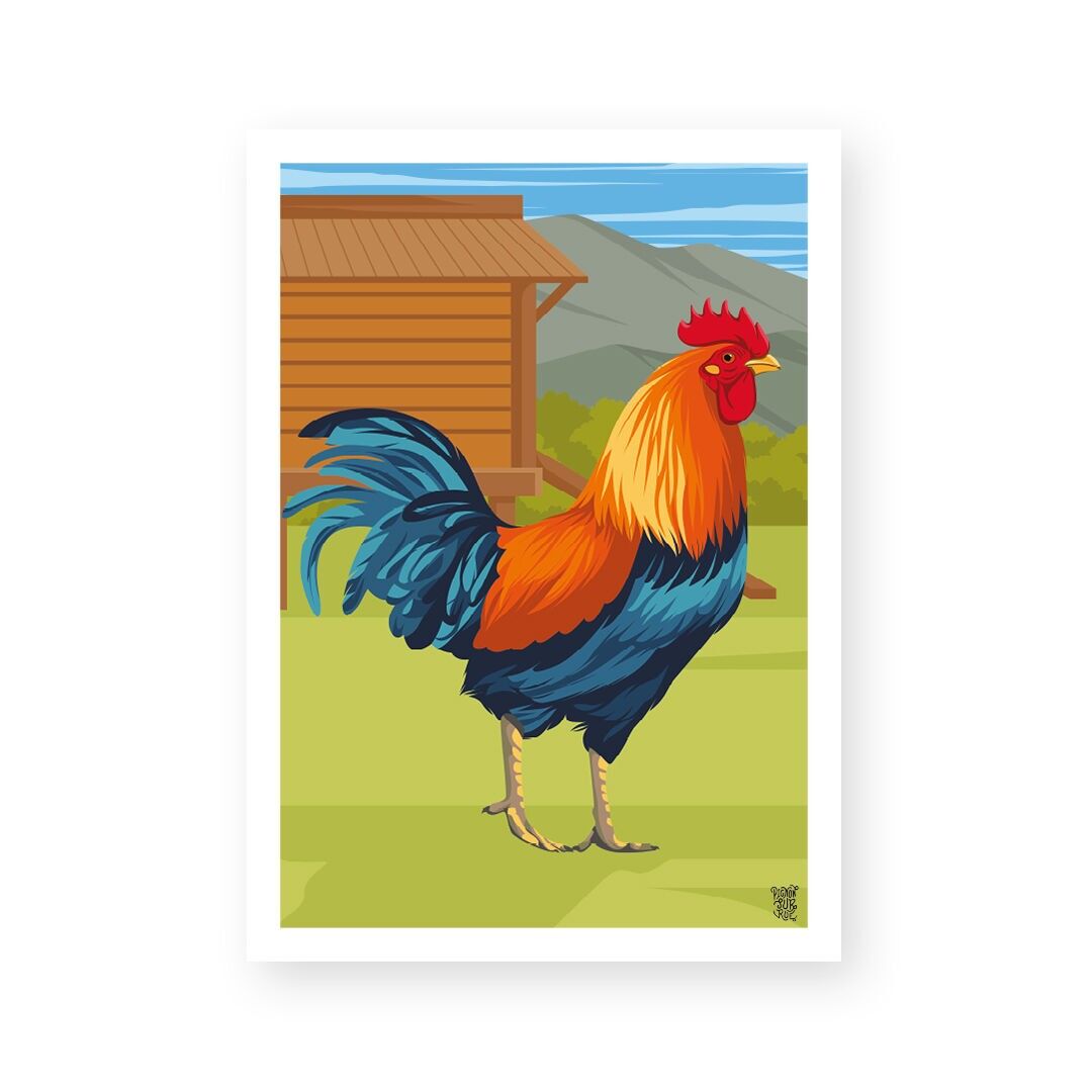 Manifesto murale vintage "Il Gallo"