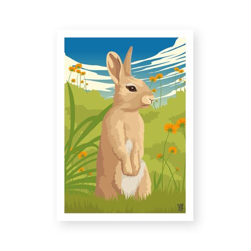 Affiche "Le Lapin" poster mural vintage