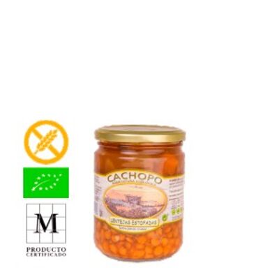 RAGOÛT DE LENTILLES (445 cc, VERRE)