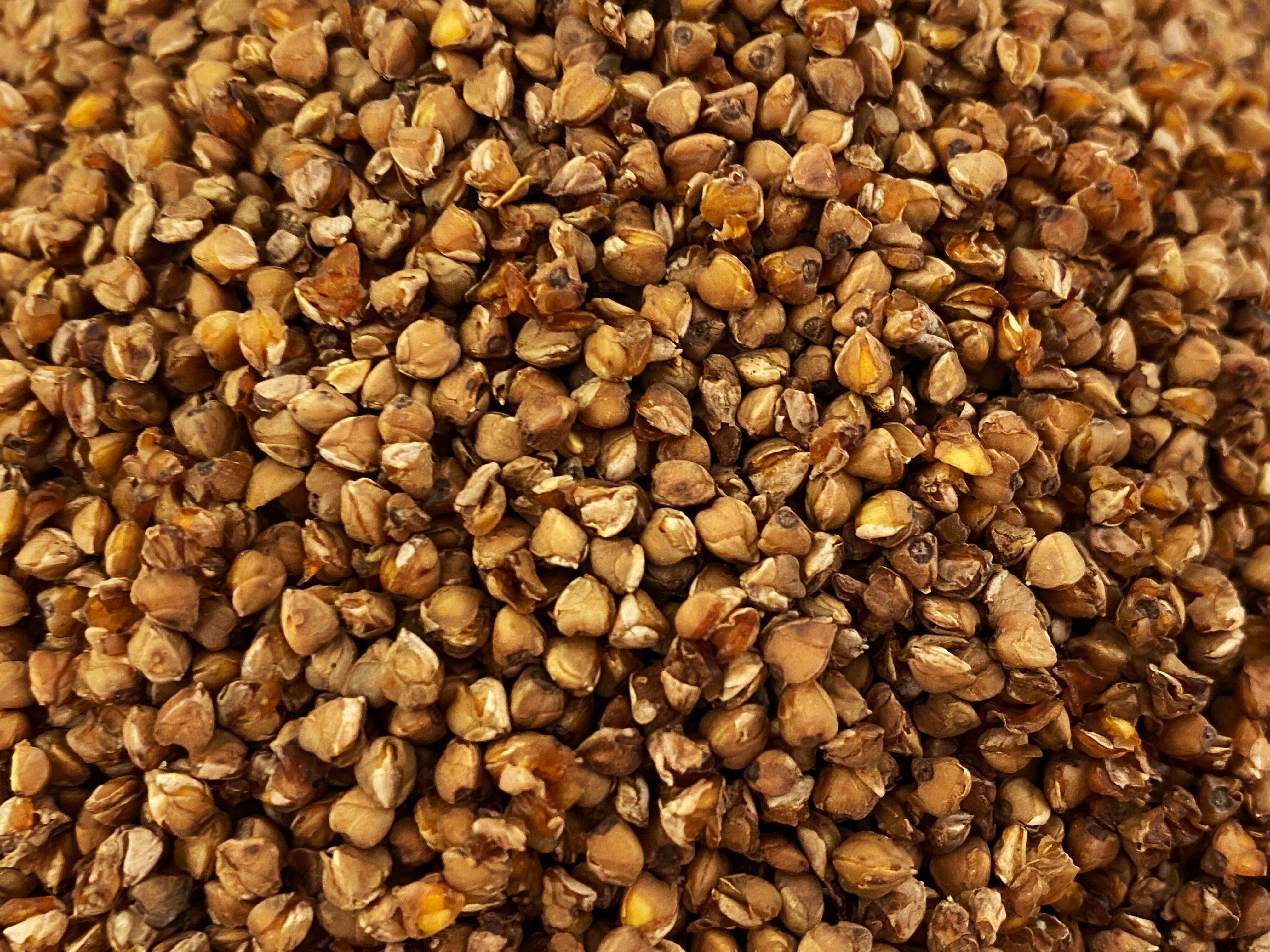 Tisana - Sobacha - sacco sfuso da 1 kg