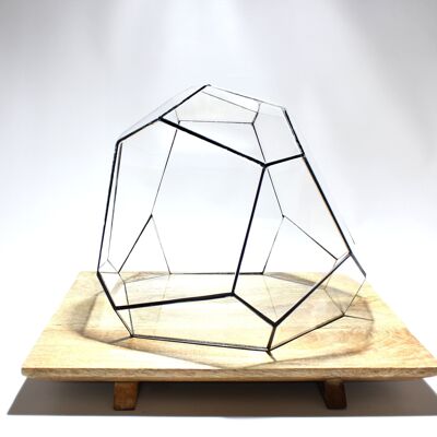 Terrario geometrico - Torno - Vivarium - ↑ 28 x 26 x 24 cm (LxWxH) - Vetro