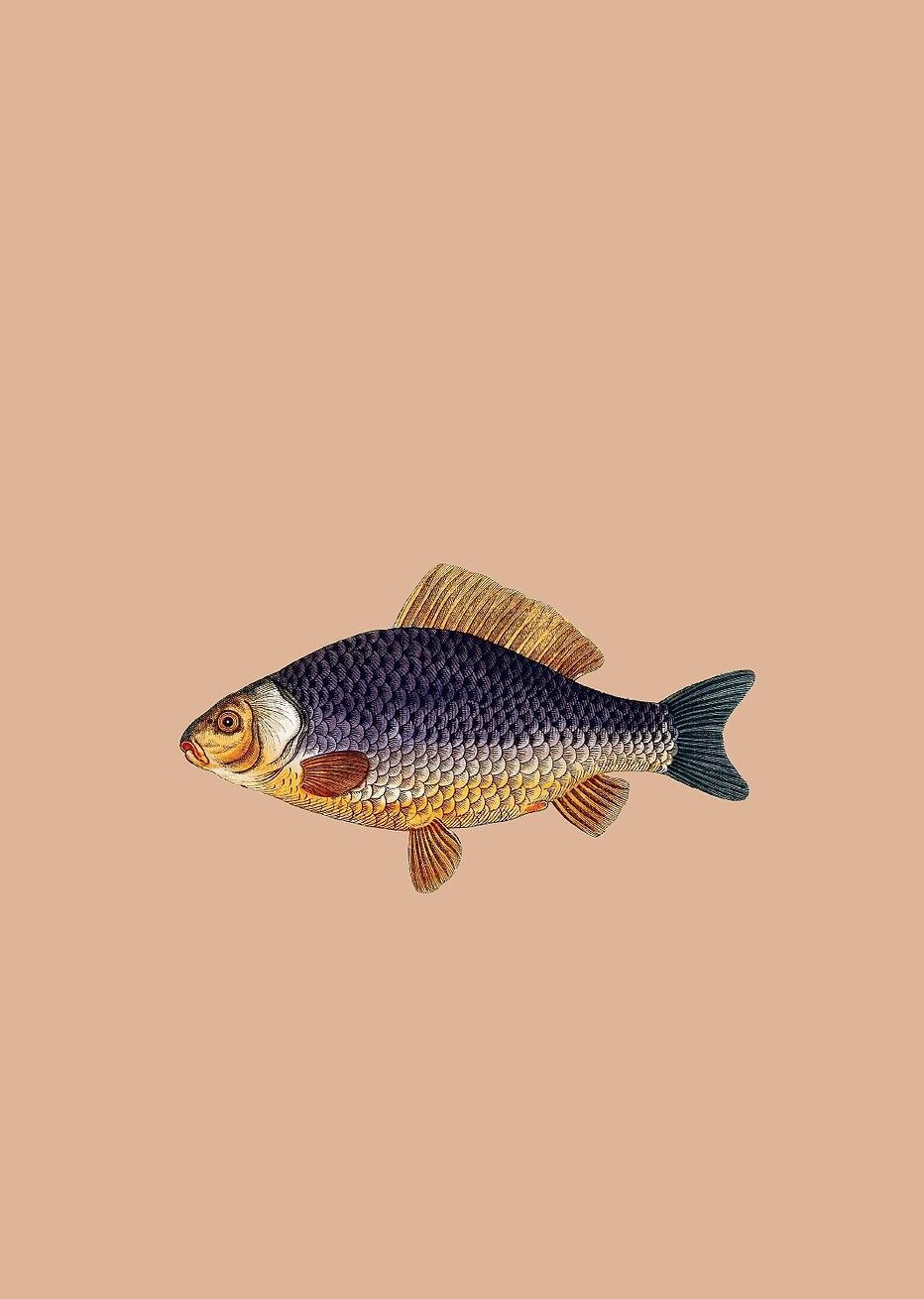 Impresión A3 Chipre (Pescado)