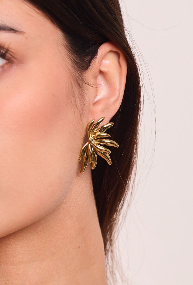 Orecchini in acciaio inossidabile 124AQ373