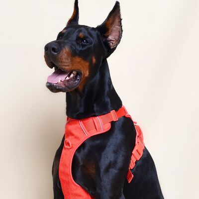 Arnés de pana para perros, color rojo