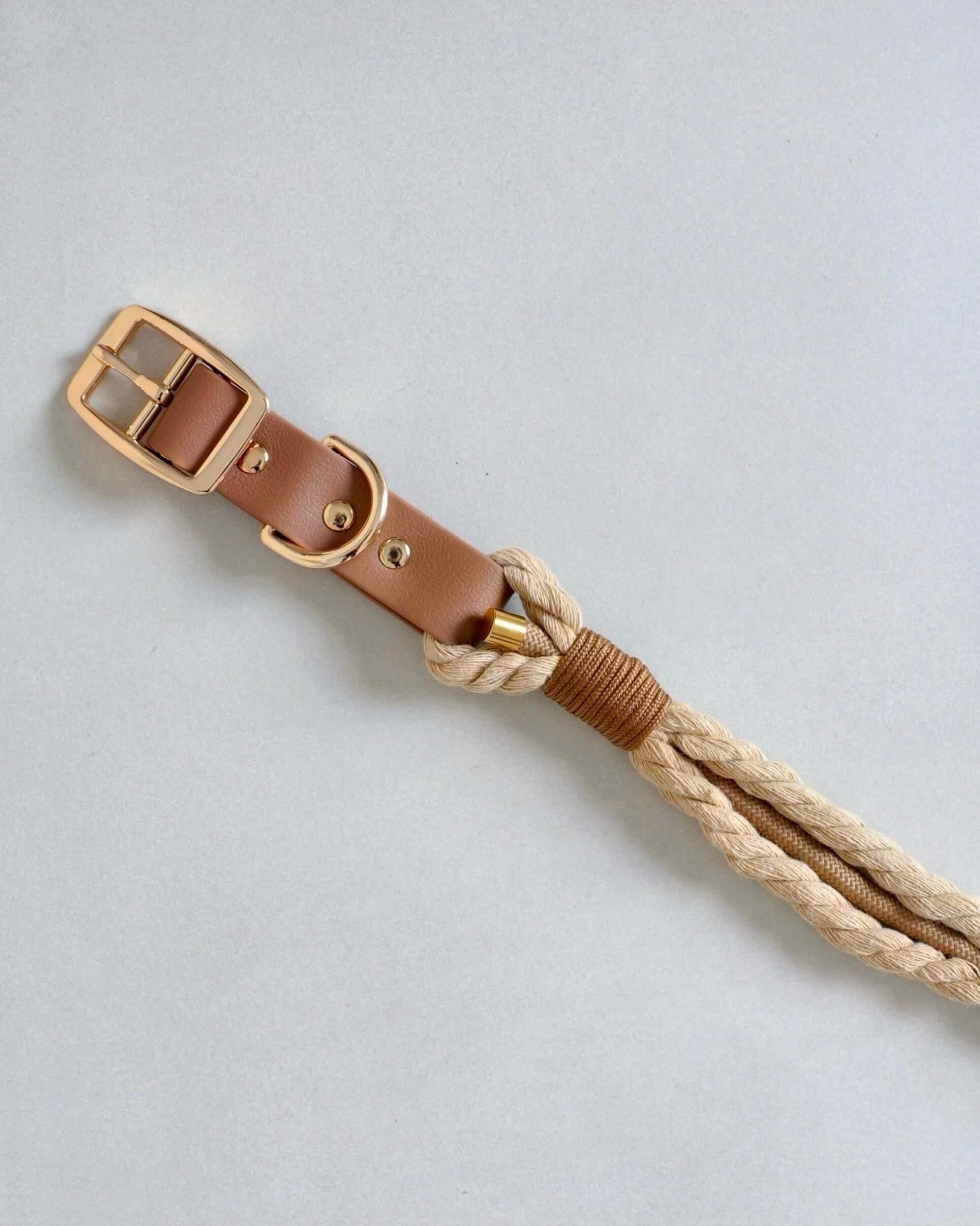 Braided Dog Collar - Beige