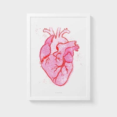 Stampa artistica da parete A3 | Cuore anatomico vintage