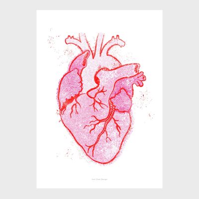Impression d'art mural A4 | Corazón anatómico vintage