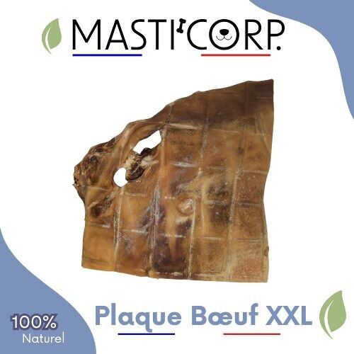 Extra harte Ochsenkopfhaut - XXL-Platte