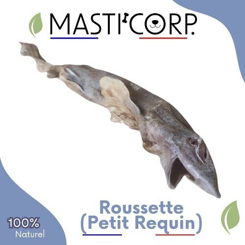 Roussette (Kleiner Hai) - 1kg