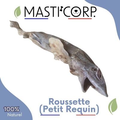 Roussette (Piccolo Squalo) - 1kg