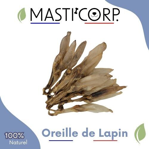 Oreille de Lapin Sans Fourrure