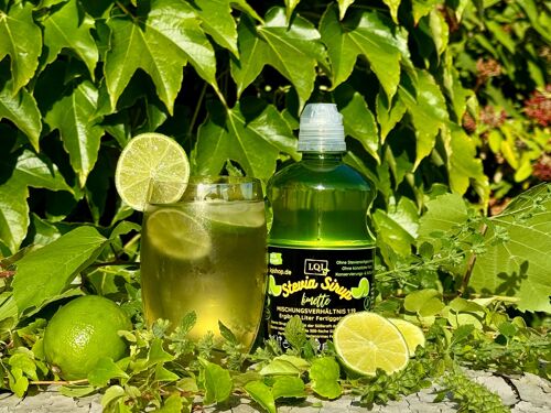 Stevia Sirup Limette